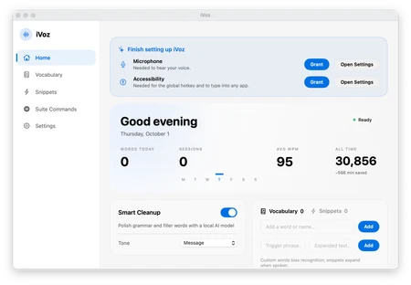 Real iVoz app window